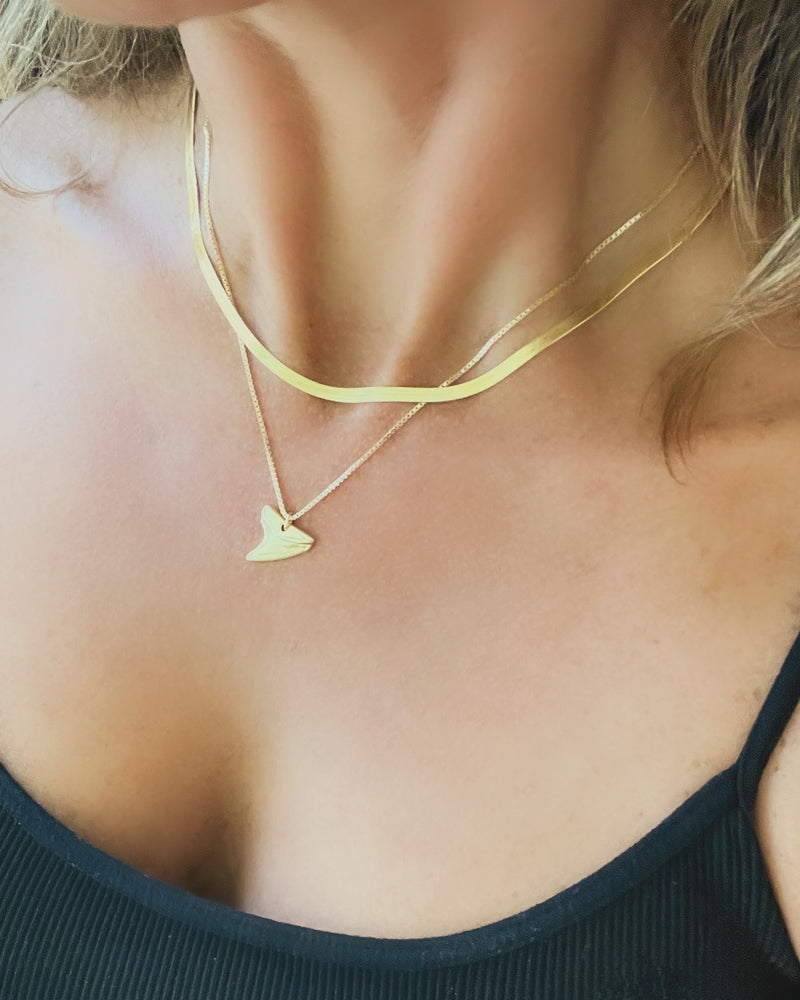 Venice Shark Tooth Necklace