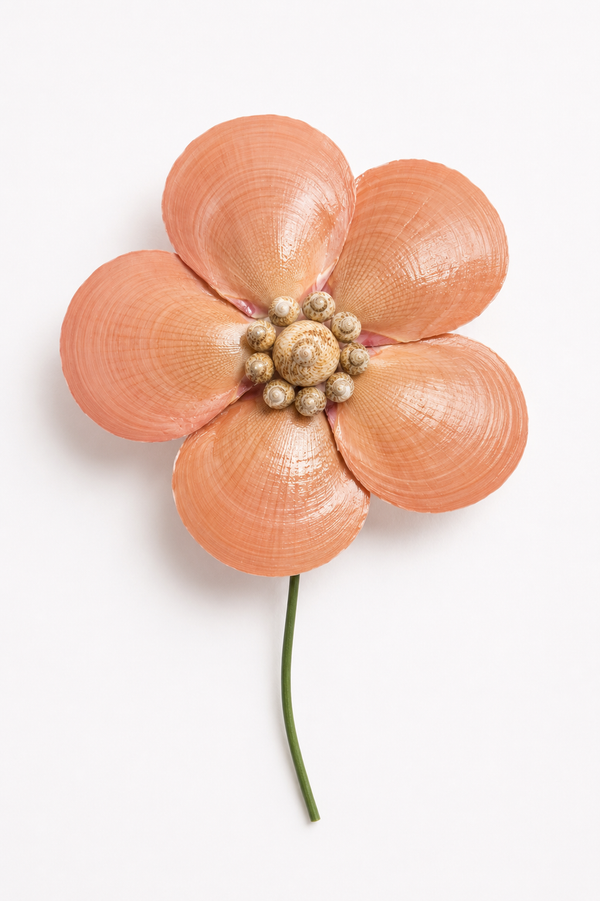 Drifted Scallop Bloom