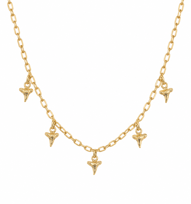 Trestles Tooth Choker Necklace