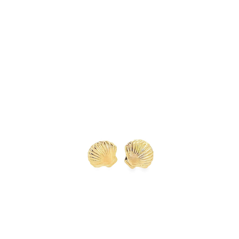 Gold Shell Stud Earrings
