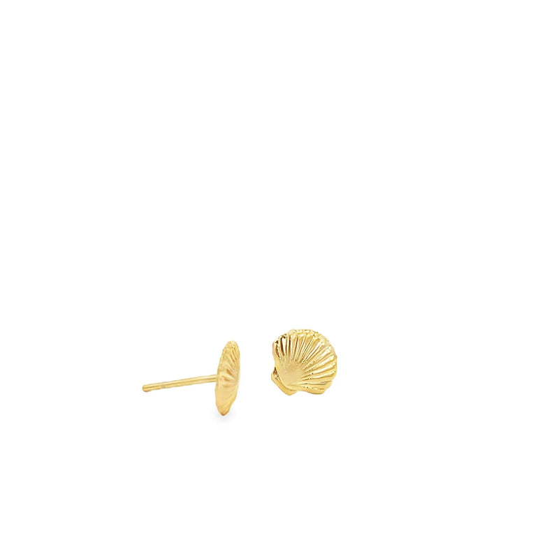 Gold Shell Stud Earrings