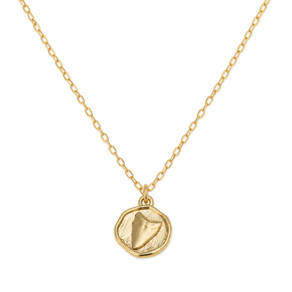 Shark Tooth Coin Necklace