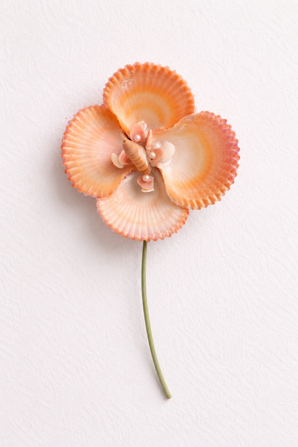 Blush Scallop Flower