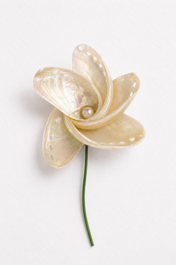 Abalone Garden Bloom