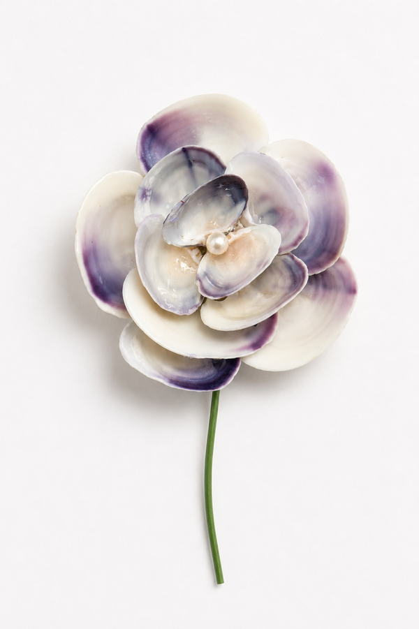 Oyster Blossom