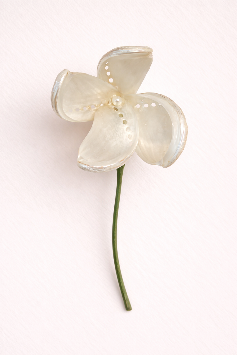 Coral Daisy - handmade shell floral
