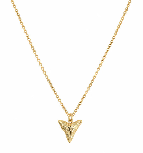 Venice Shark Tooth Necklace