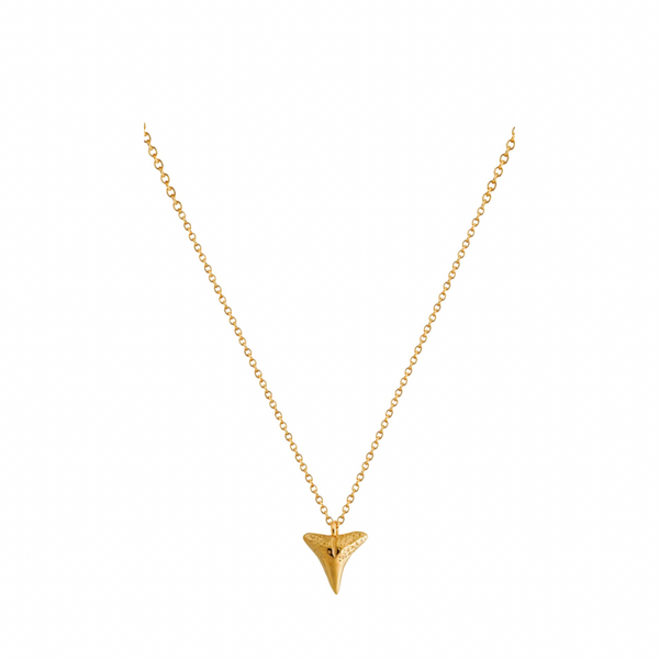 Franzie Golden Shark Tooth Pendant Necklace