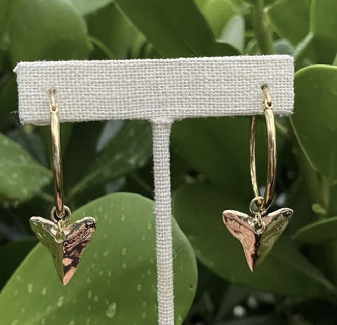 Maad Shark Hoops