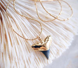Electroplated Shark Tooth Necklace